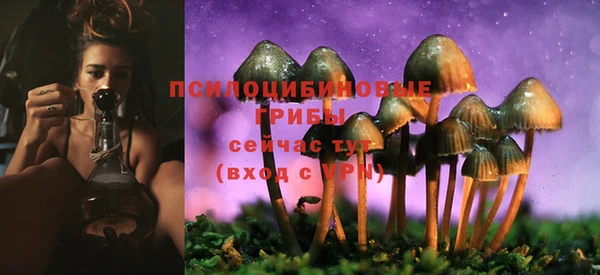 молекула духа Абаза