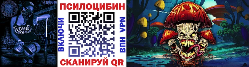 купить  цена  Яблоновский  Псилоцибиновые грибы Psilocybine cubensis 